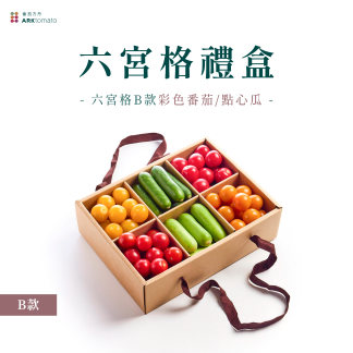 六宮格蔬果禮盒-B款