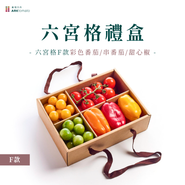 六宮格蔬果禮盒-F款